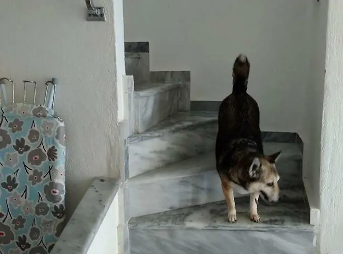 Seaside House Apartamento *